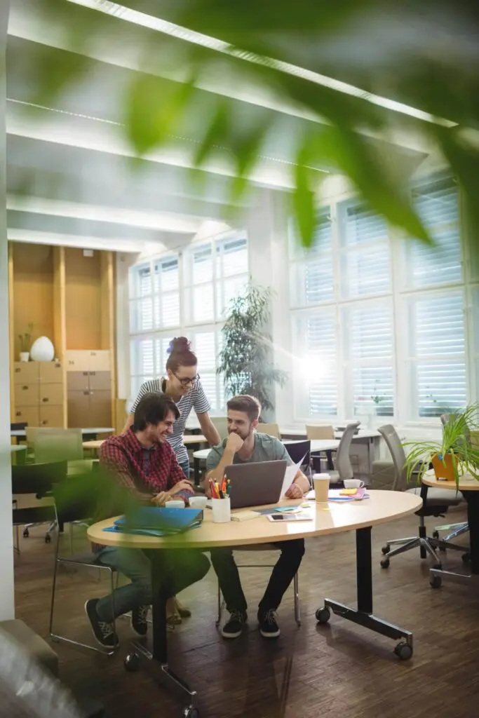 IT Project Rollout